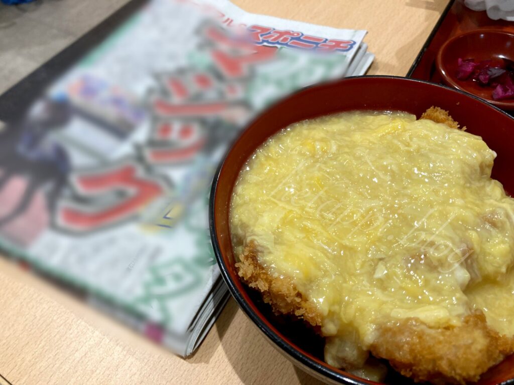 京都競馬場のカツ丼